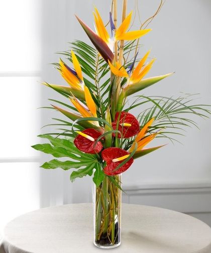 Birds of Paradise Arrangement