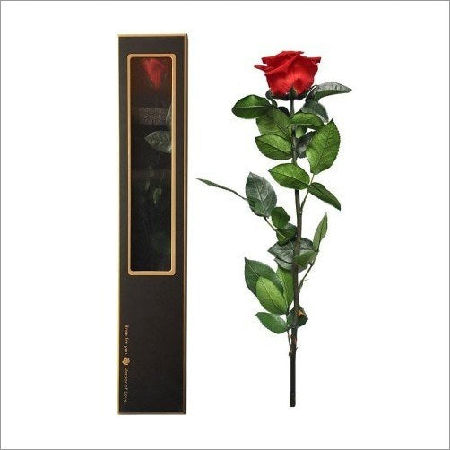 Preserved Single Red Rose