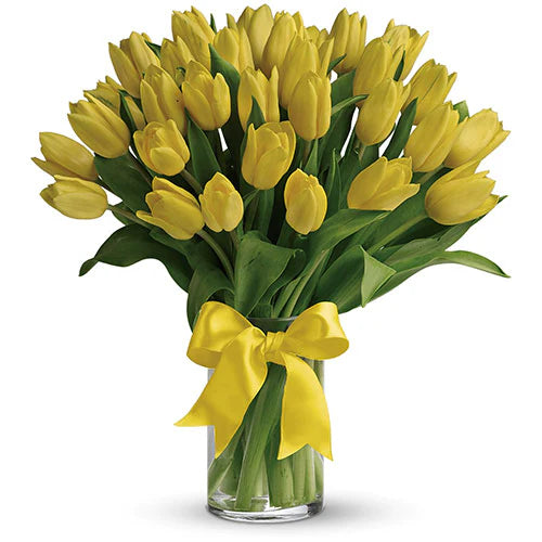 Yellow Tulips